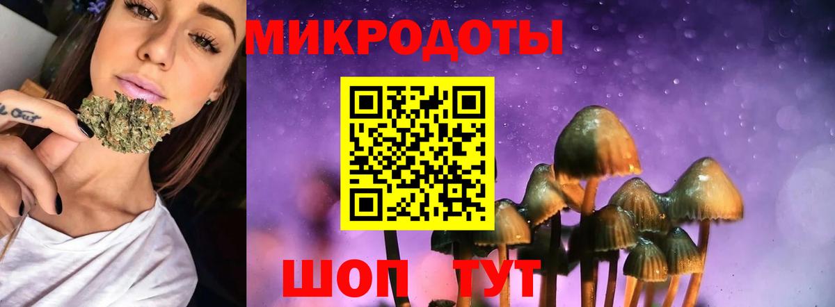 Галлюциногенные грибы Cubensis  Псилоцибиновые грибы MAGIC MUSHROOMS  наркошоп  Великие Луки  Вход с VPN 